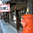 20070406_434